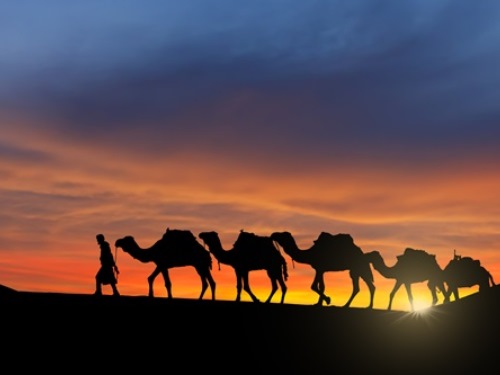 Camel Caravan, Central Asia Travel